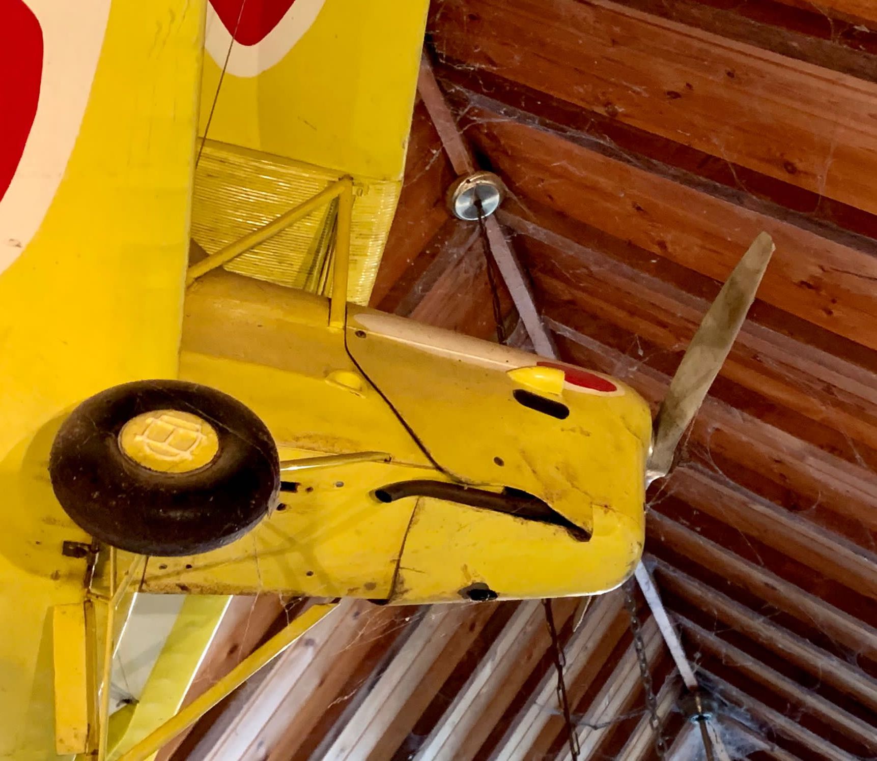 A De Havilland Tiger Moth Reg:- G-ANZU model aeroplane, width 183cm, length 150cm *Please note the sale commences at 9am.